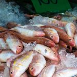 Analisis Usaha Ikan Nila 1000 Ekor Yang Lengkap