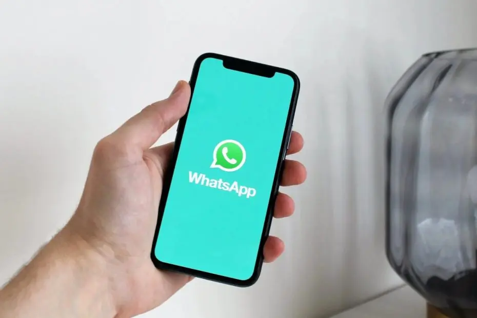 Cara banjir orderan di WhatsApp